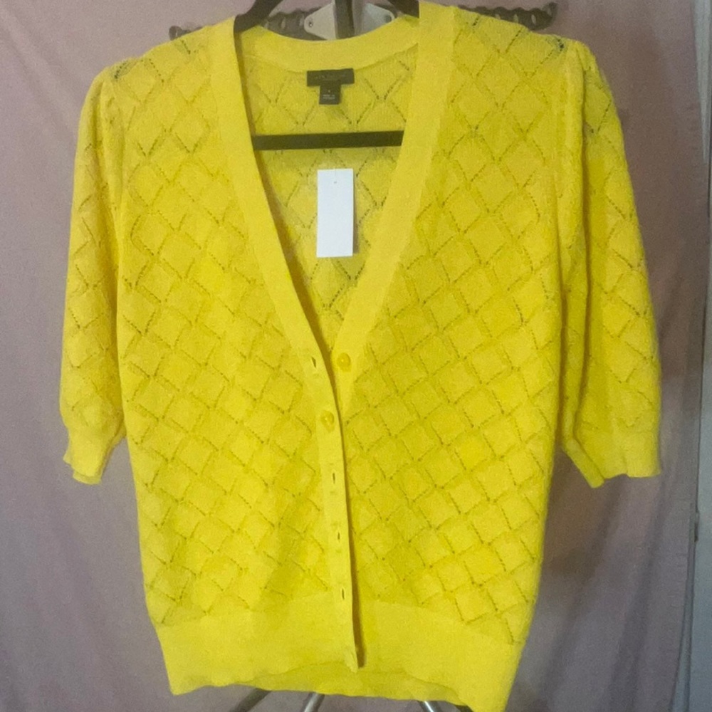 Ann taylor cardigan